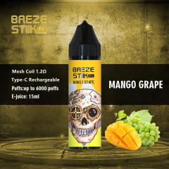 Breze stiik fit