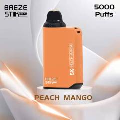 BREZE STIIK Box Pro 5000