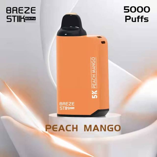 BREZE STIIK Box Pro 5000