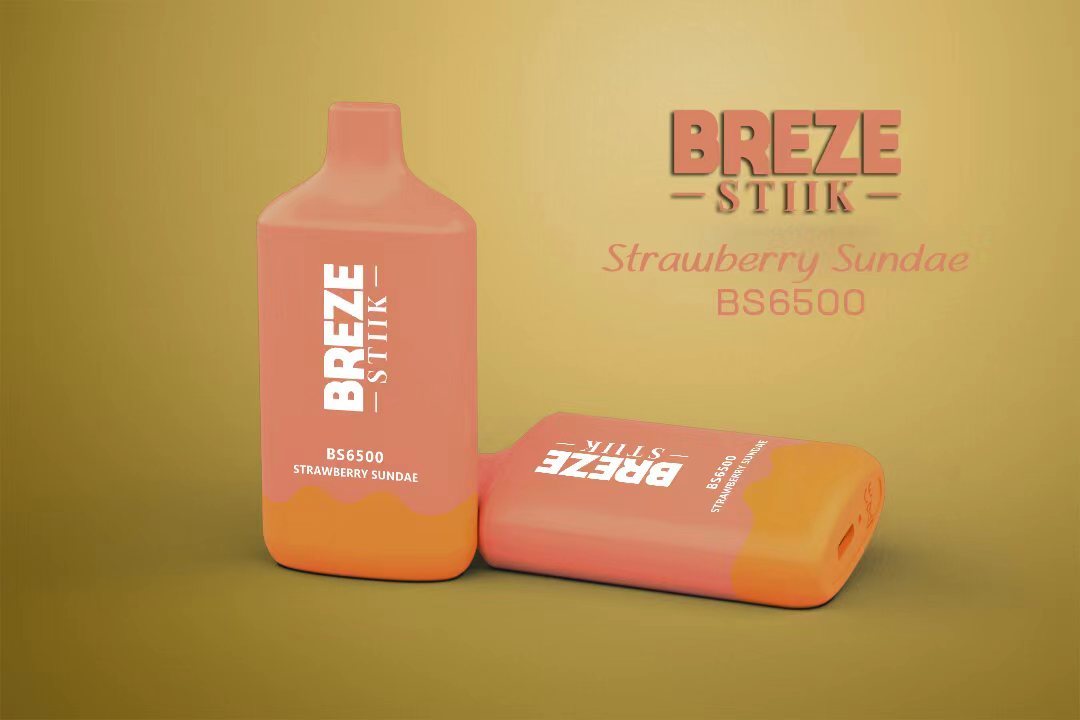 BREZE STIIK BS6500