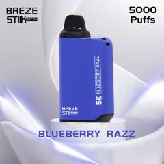 BREZE STIIK Box Pro 5000