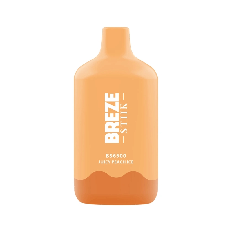 BREZE STIIK BS6500