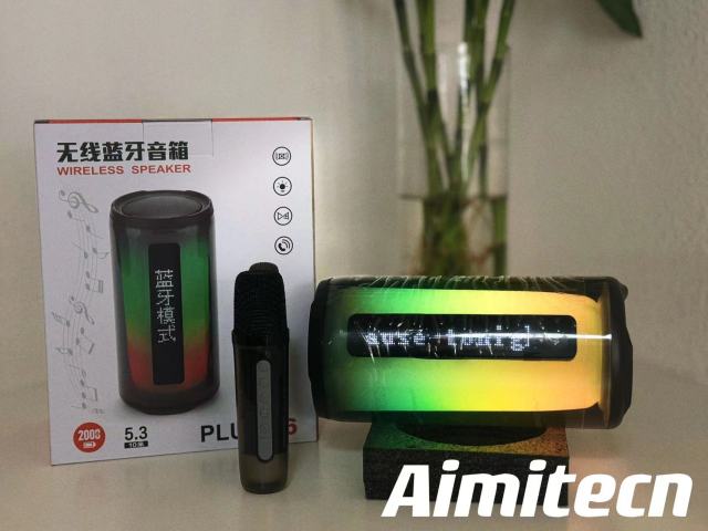 Audio/Speaker - Pluse 6 (2 Microphone)
