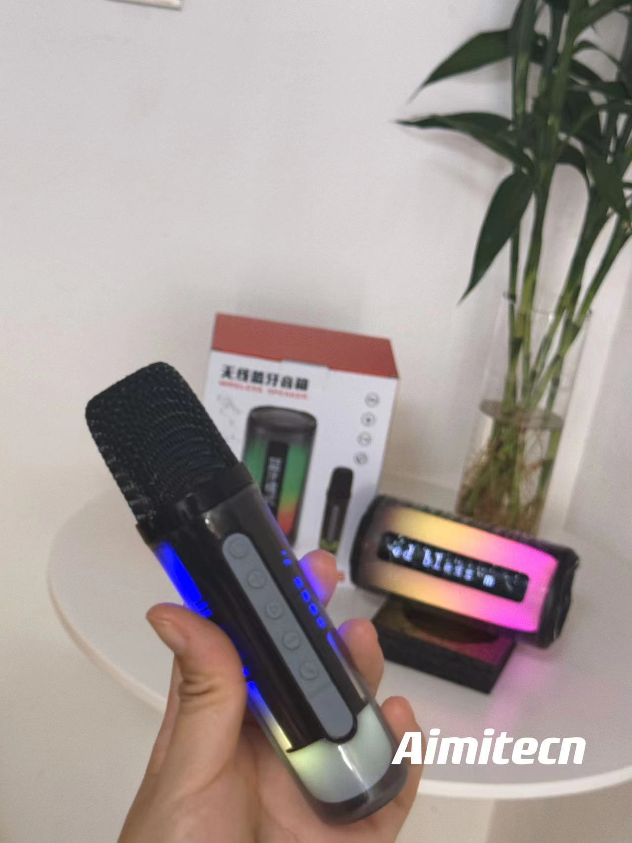 Audio/Speaker - Pluse 6 (2 Microphone)