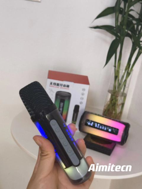 Audio/Speaker - Pluse 6 (2 Microphone)