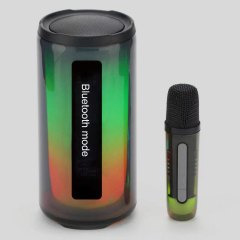 Audio/Speaker - Pluse 6 (2 Microphone)