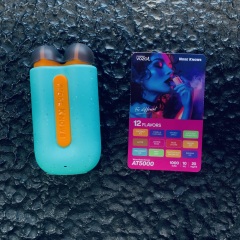 VOZOL NOSE KNOWS  AT5000 Disposable with 12 flavors in stock（5pcs/box,200pcs/CTN）