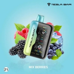 TeslaBar XT-26000 ICE Control