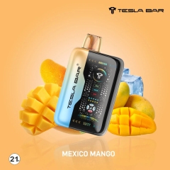 TeslaBar XT-26000 ICE Control