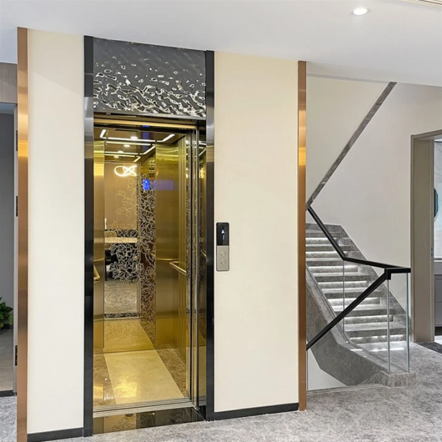 FUJI Home Elevator