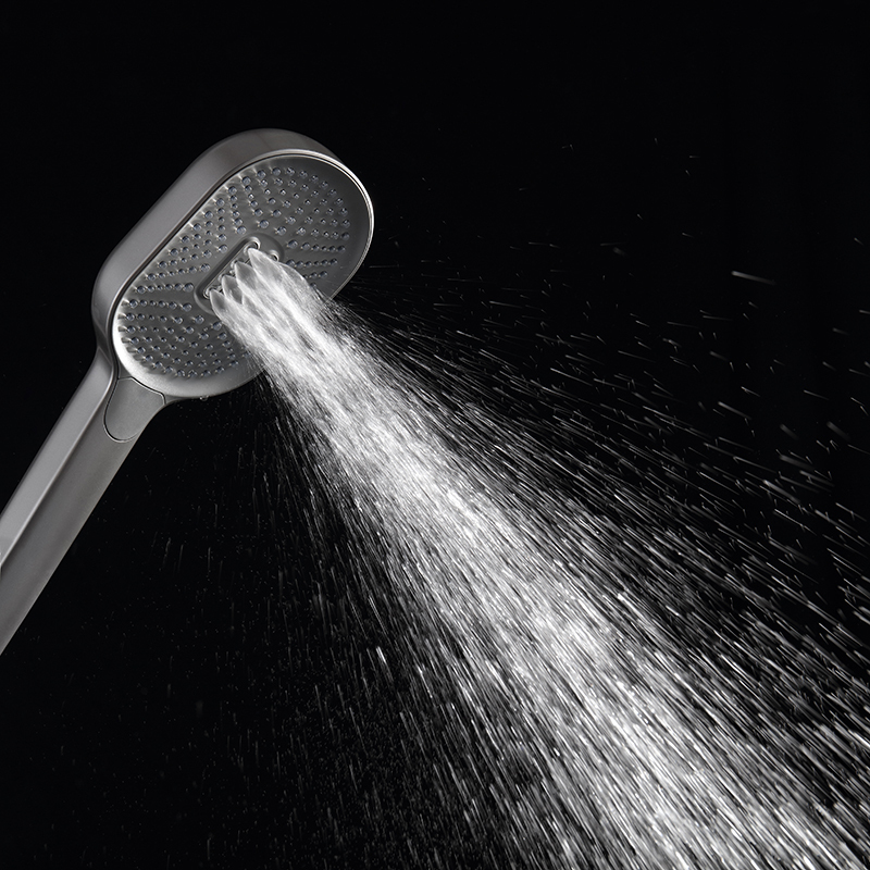 Factory Supply Quality Assurance Classic Oval Button Handheld Booster Shower TW-E06