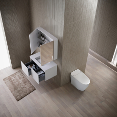 Heiße Art-Großhandelsbadezimmer-Kabinett-intelligenter Toiletten-Duschkopf-Komplettsatz TW-3001&TW-M60&XA-S71
