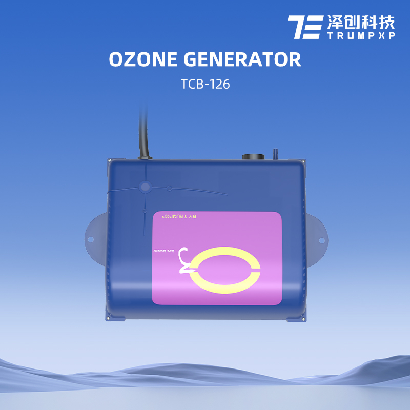 Medical Ozone Generator For Water Treatment 300mg/hr SPA Swimming Pool Ozone Plate O3