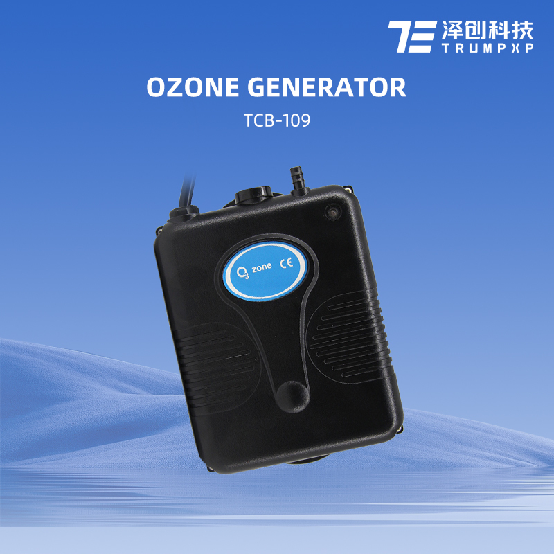 Popular CE Certificated Water Purifier Ozone Generator for Pool Spa Shower Hot Tube Sterilization