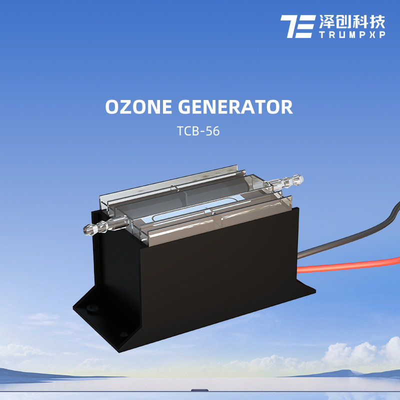 TCB-56 Portable Ozone Generator general-purpose filter mini ozone generator for air
