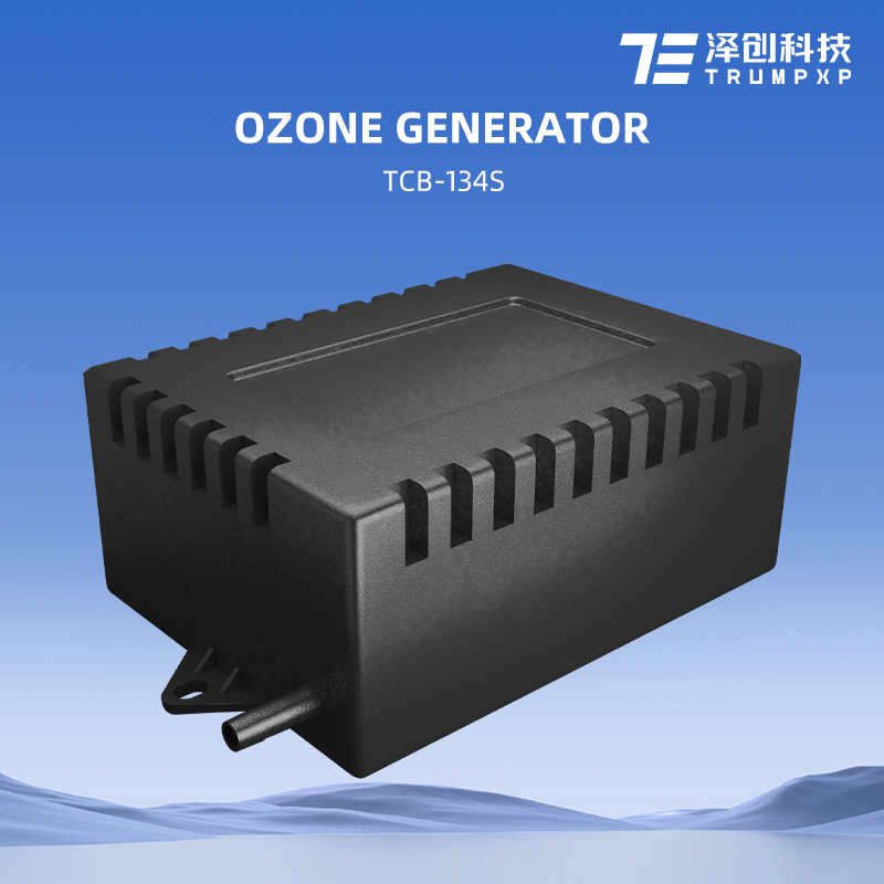 TCB-134S ozonator balboa Water Purifier air treatment ozone generator for drinking water pool
