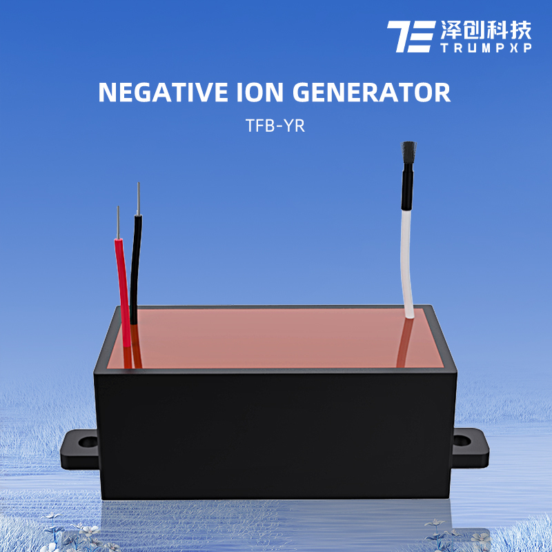 TFB-YR Factory wholesale DC ionizer module negative ion generator for air purifier spare parts