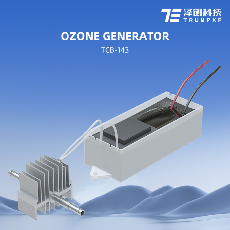 Ultra 2024 New Arrival Jacuzzi Ozone Generator DC12V 200mg/hr Ozone Generator For Jacuzzi