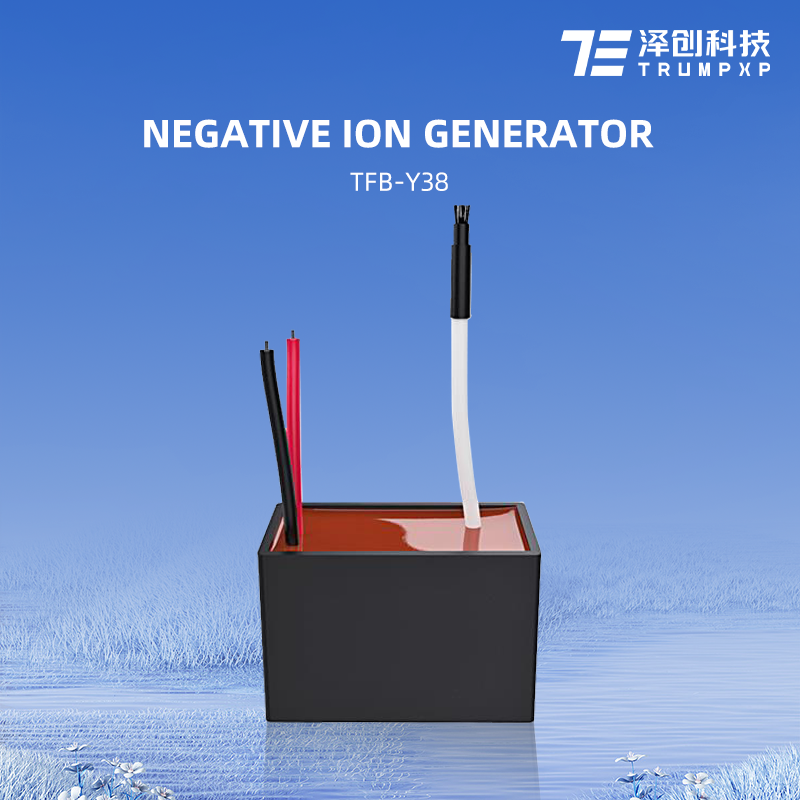 TFB-Y38 Air sterilization negative ionizer 220V/110V negative ion generator
