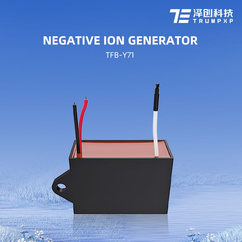 TFB-Y71 AC 100-240V Anion Negative Ion Generator For Air Conditioning Electrostatic