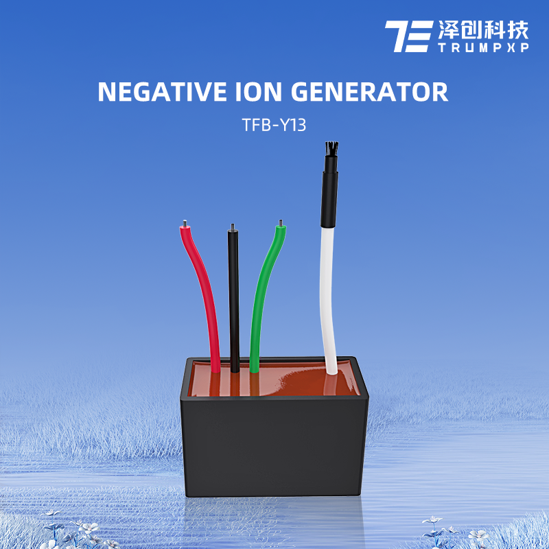 TFB-Y13 factory supply AC220V DC12V ion generator humidifier air purifier parts ion generator ionizer module