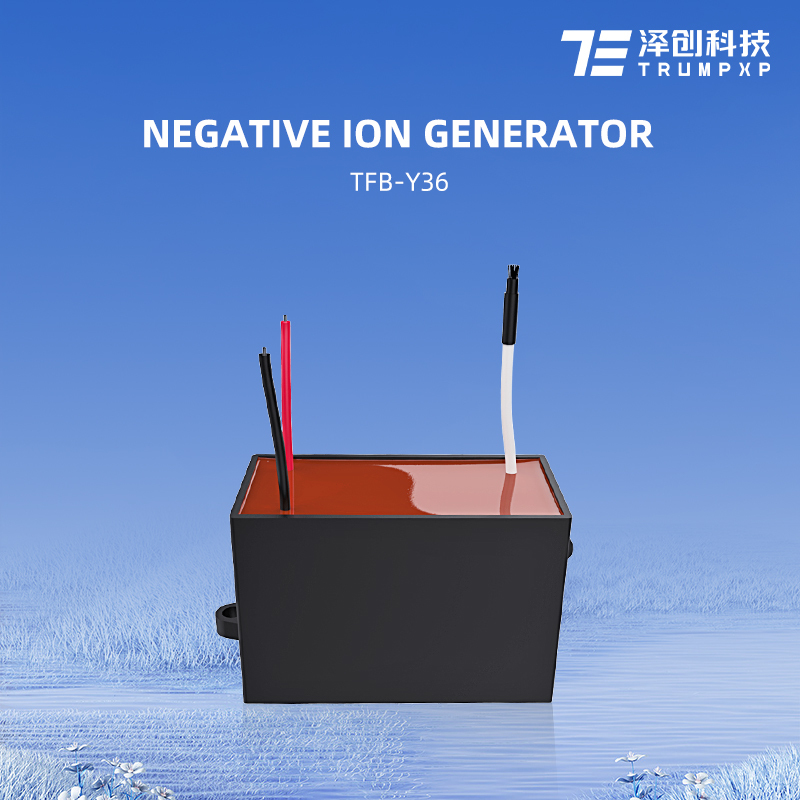TFB-Y36 Efficiency ac negative ion Hair Curler Straightener refrigerator parts negative ion generator