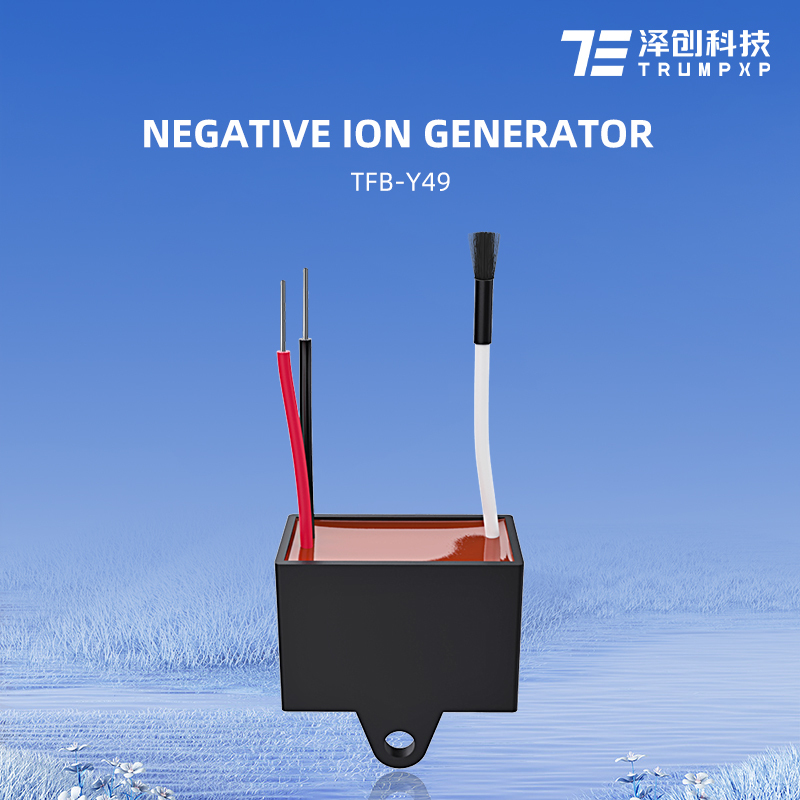TFB-Y49 high voltage negative ion generator AC110v-240v carbon brush anion generator module