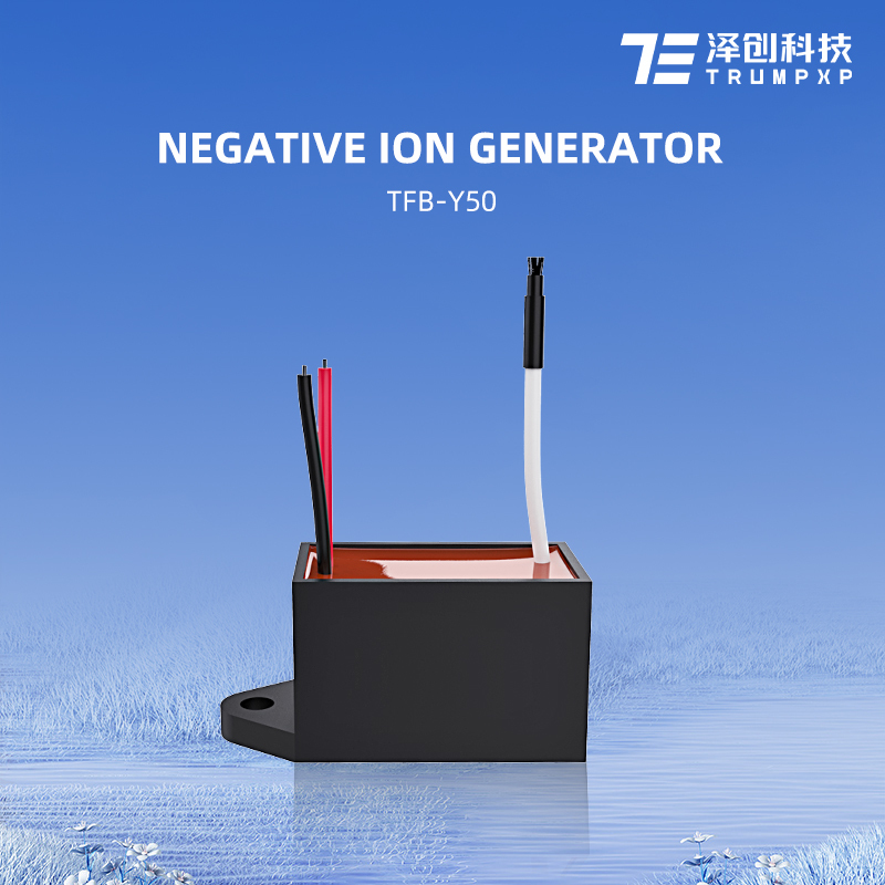 TFB-Y50 refrigerator parts negative ion generator China Factory direct supplyAC220V DC12V ion generator