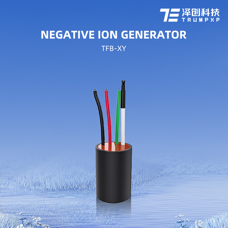 TFB-XY High Output Odm Oem 110V 220V Negative Ion Anion Generator For Hair Straightener Dryer