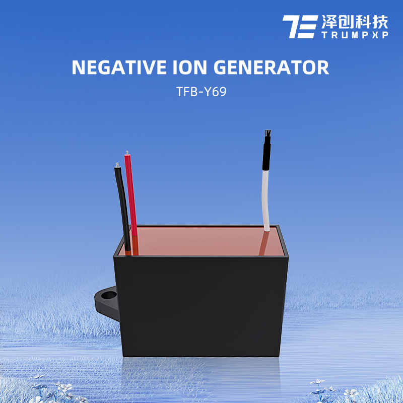 TFB-Y69 Guaranteed Quality Car Air Purifier 220V/110V Negative lon Generator