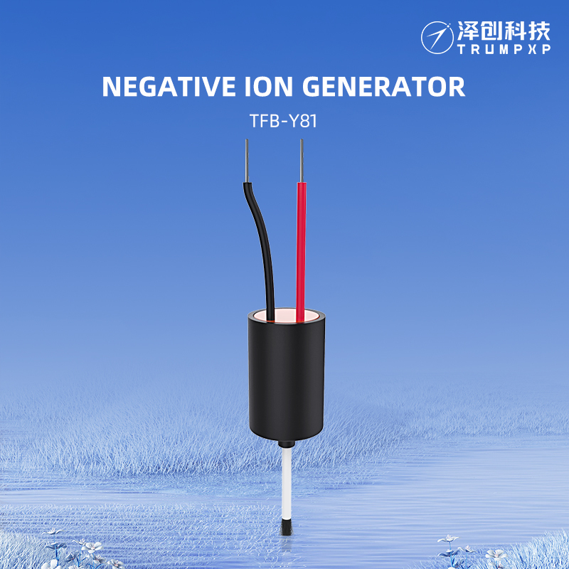 TFB-Y81 High Destiny Ionizer Module Negative Ion Generator for Hair Dryer Factory in China Refrigerator Parts
