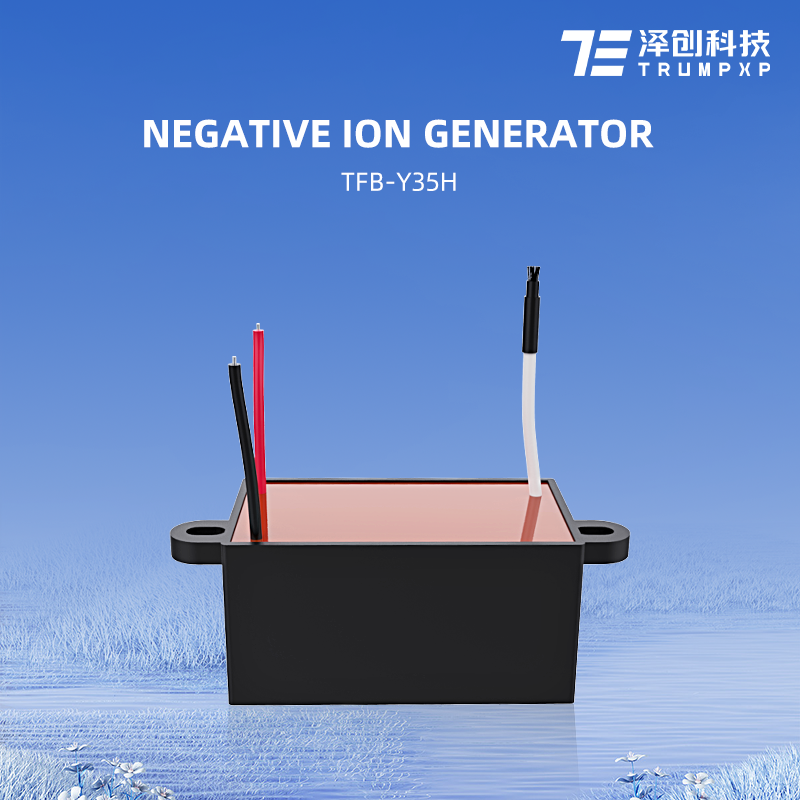 TFB-Y35H Cheap AC220v DC24v DC12v anion generator VC air purification system negative ion generator