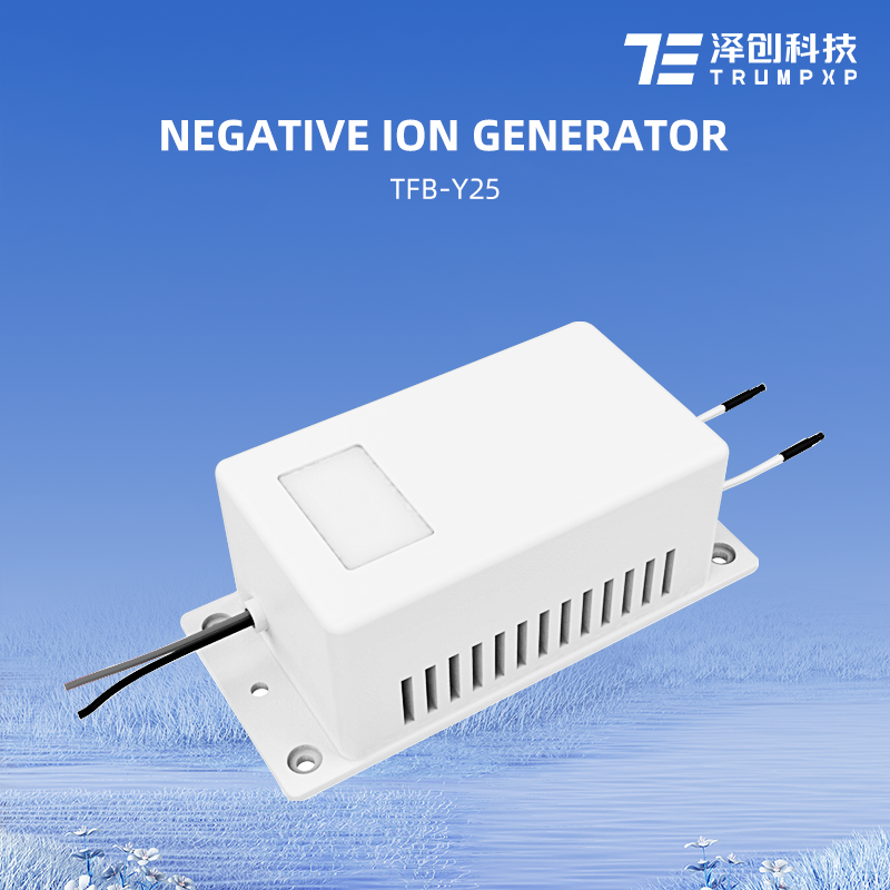 TFB-Y25 Recommend remove smoke anion generator best home goods negative ion generator No reviews yet