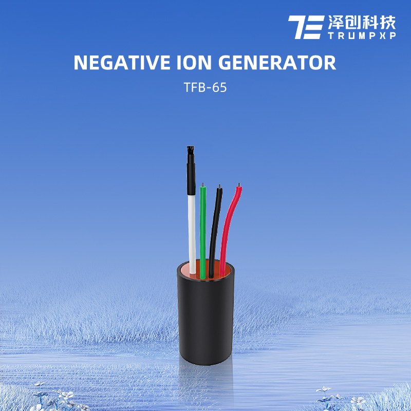 TFB-Y65 2024 hot selling CE remove smoke 220vac 12vdc Air Purifier Parts negative ion generator