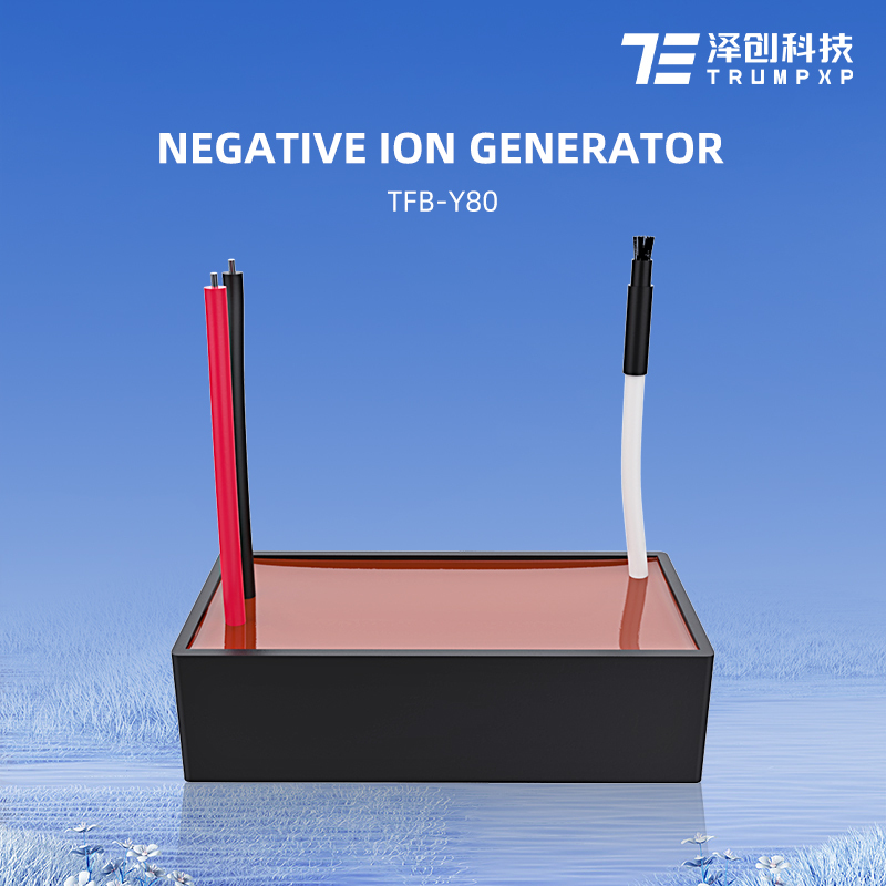 TFB-Y80 Anion Negative Ion Generator 110V 220V 240V Ionizer For Air Purifiers Air Conditioners And Hvac Installations Parts