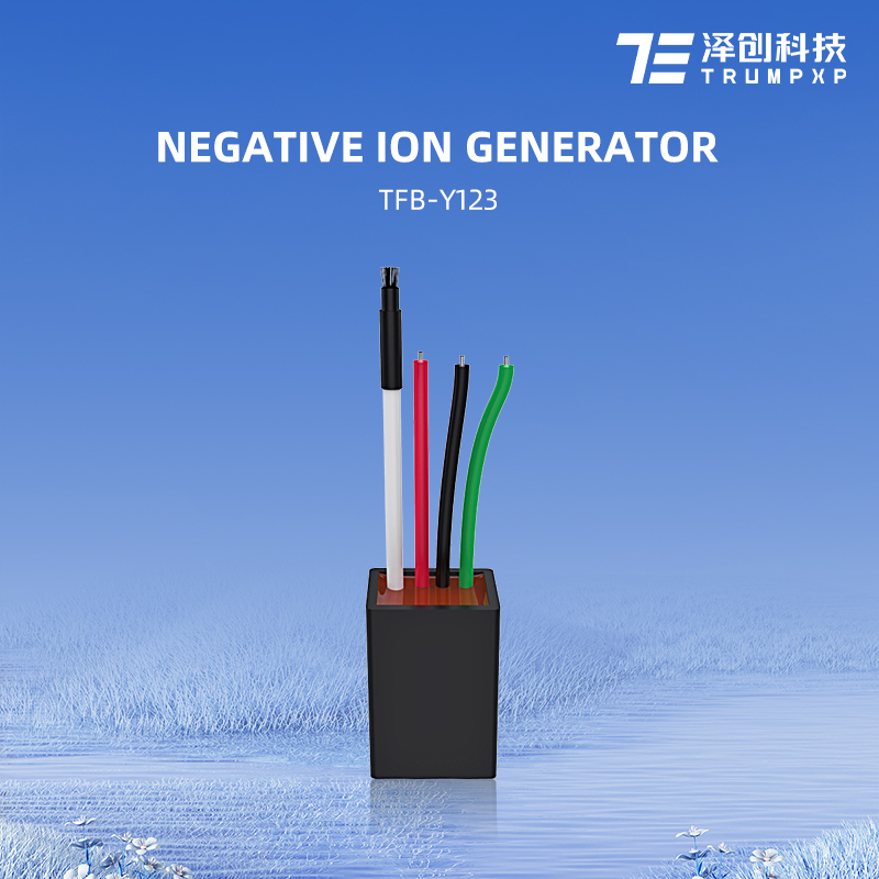 TFB-Y123 Customer-oriented mini ionizer AC220V beauty and hairdressing negative ion generator