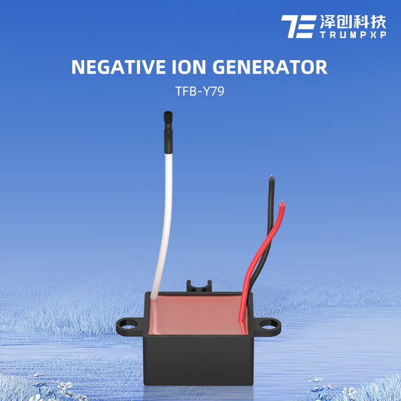TFB-Y79 220V Negative Ion Generator for Hair Dryer AC Ionic Module anion generator