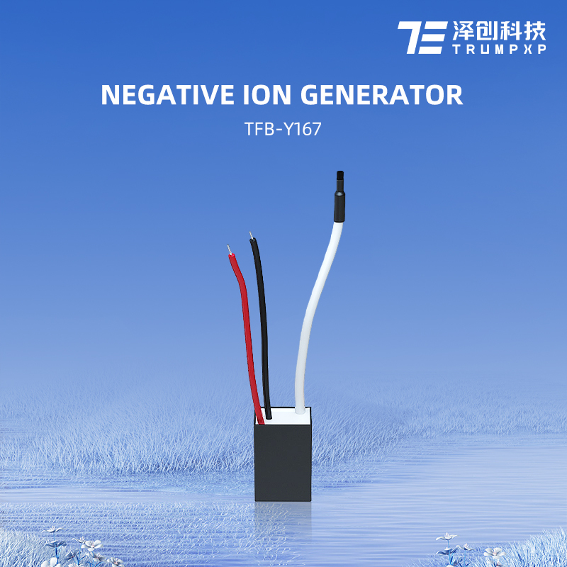 TFB-Y167 Factory Direct Delivery Mini Negative Ion Generator Parts for Pet Comb
