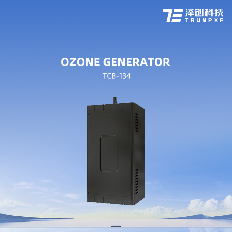 TCB-134 high quality 200mg pool ozone generator water purifier generador de ozono for spa shower bathroom