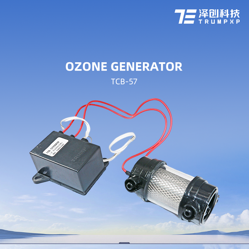 TCB-57 Mini Ozone Generator For Drinking Water Ozonator Small Ozone Machine Parts