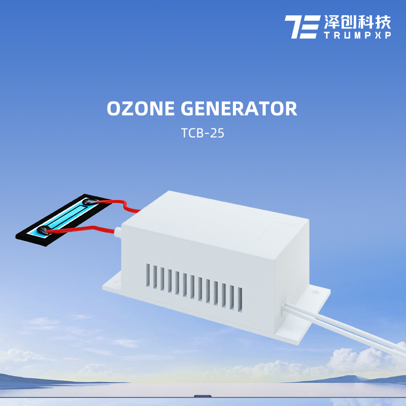 TCB-25 Wholesale Portable Ceramic Ozone Generator mini air purifier ozone generator