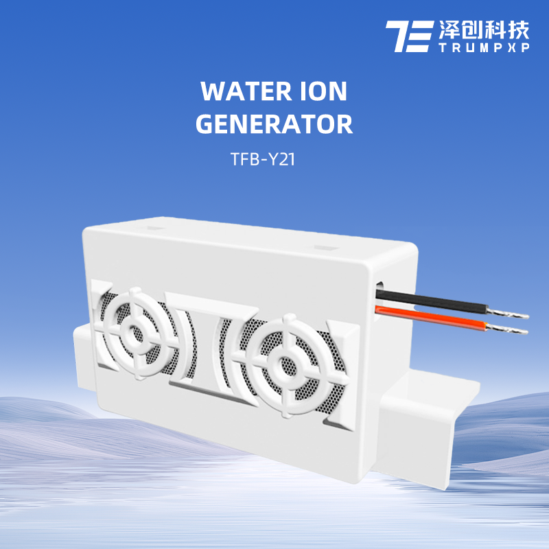 TFB-Y21 2024 New Arrival Water ion generator