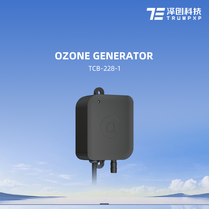 TCB-228-1 UL OFF-GAS generador de ozono small water purifier pool ozone generator spa ozone generator