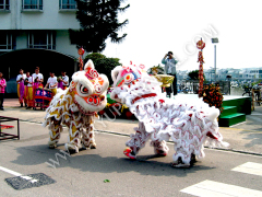 舞獅表演 Lion Dance,飛昇嘉年華 FLYUP CARNIVAL
