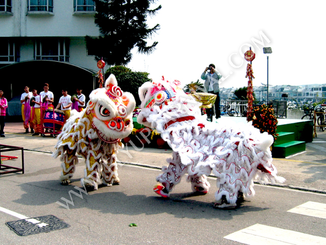 舞獅表演 Lion Dance,飛昇嘉年華 FLYUP CARNIVAL