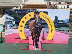 3D Backdrop,飛昇嘉年華 FLYUP CARNIVAL