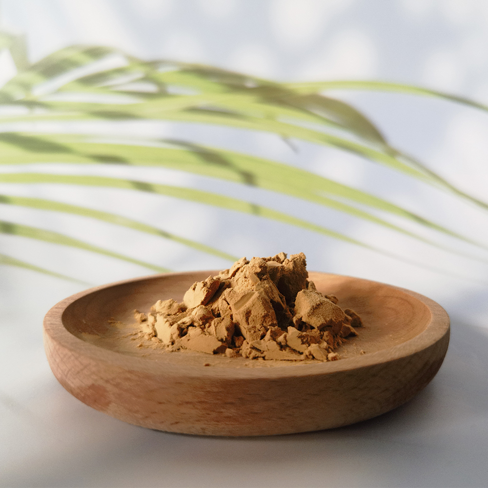 Cistanche extract