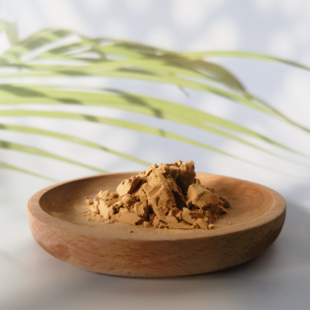 Cistanche extract