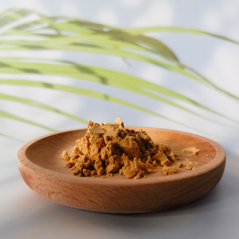 Agaricus blazei Murill Powder,Agaricus blazei Murill Extract,Agaricus blazei Murill manufacturer