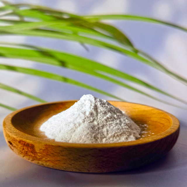 Kelp Seaweed Extract Powder